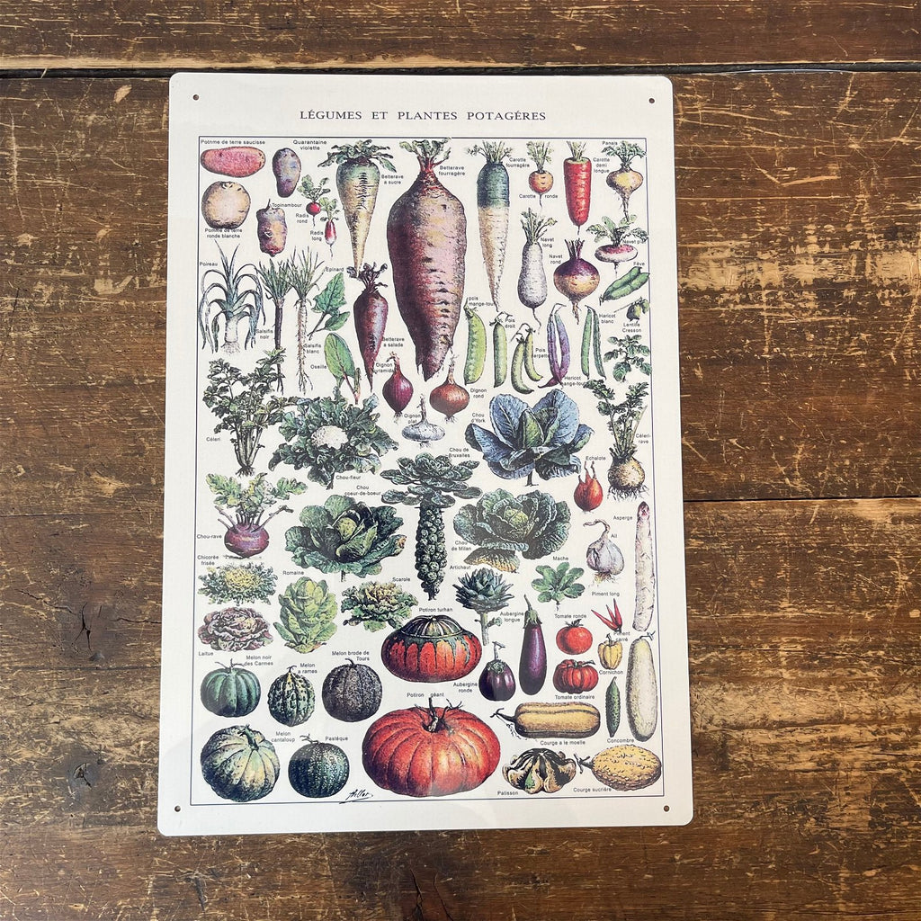 Vintage Metallschild - Vintage Botanisches Küchengemüseschild