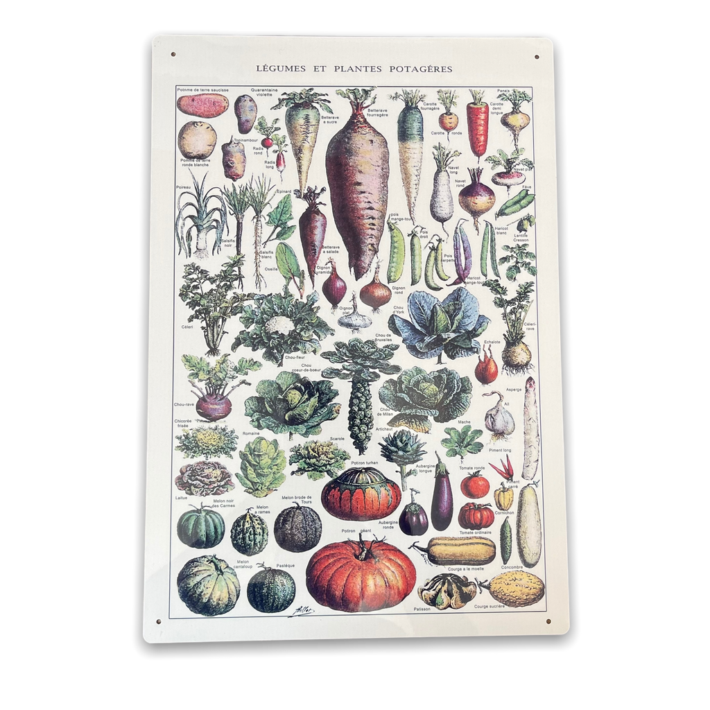 Vintage Metallschild - Vintage Botanisches Küchengemüseschild