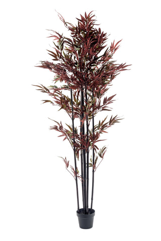 Bambusbaum Rot & Grün 180cm