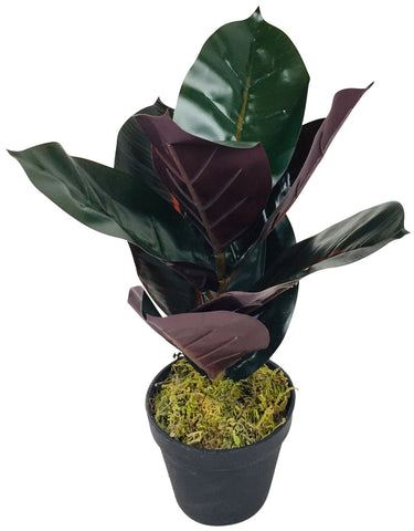 Kunstkautschukpflanze Gummibaum 41cm