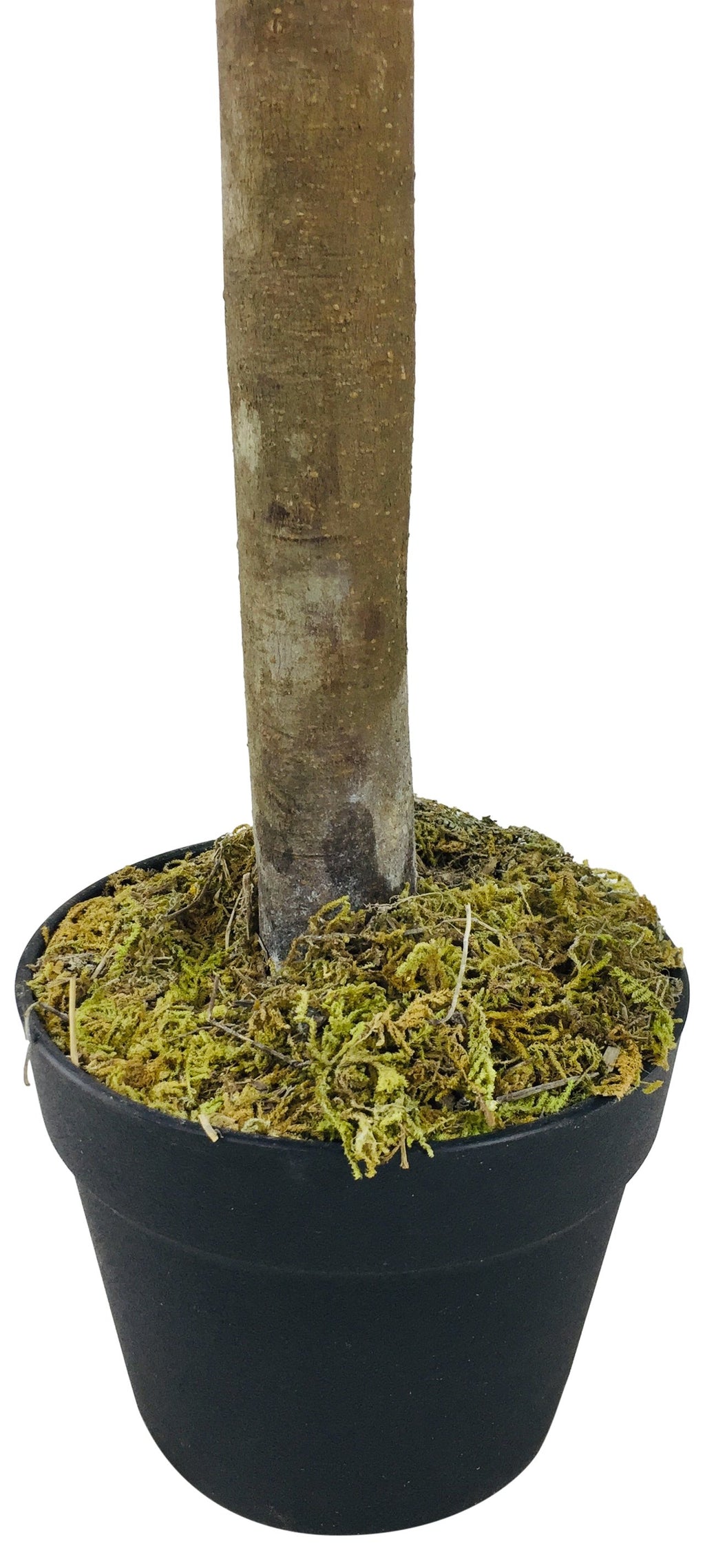 Künstliche Pflanze Lorbeerbaum 90cm