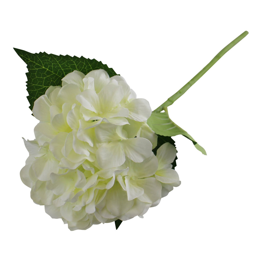 einzelne Hortensie, cremefarben Blüte, 49cm