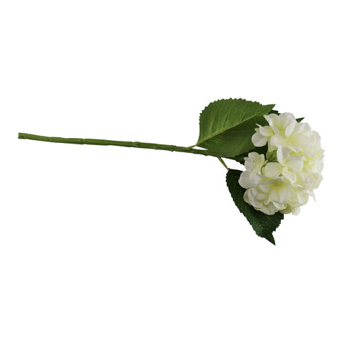 einzelne Hortensie, cremefarben Blüte, 49cm