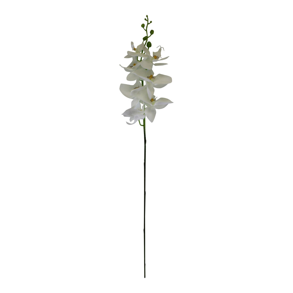 einzelner Orchidee, weiße Blüte, 85cm