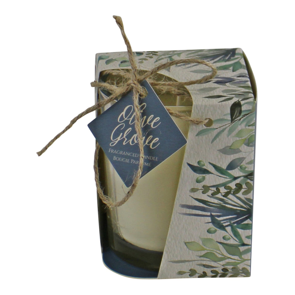 Duftkerze Olivenhain in Geschenkbox