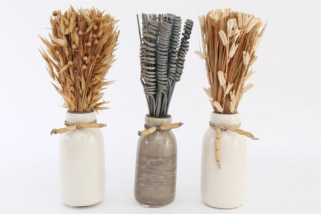 Set bestehend aus drei getrockneten Deko in Vasen