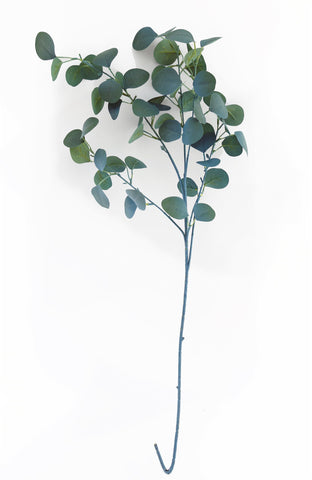Blauer Eukalyptusstiel 90cm